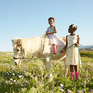Lighthouse Farm Backpackers Cape Town